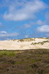 Wanderdüne auf Sylt
