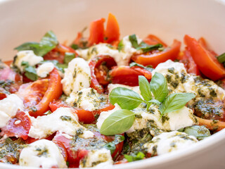 burrata cheese salad with tomato and basil, Mallorca, Balearic Islands, Spain
