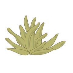 Doodle Flower cartoon Icon. Abstract Bright Domestic Floral Plant Decorative Element Symbol Silhouette. 