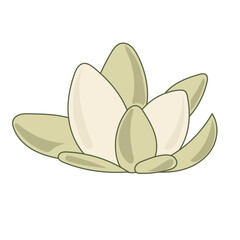 Doodle Flower cartoon Icon. Abstract Bright Domestic Floral Plant Decorative Element Symbol Silhouette. 