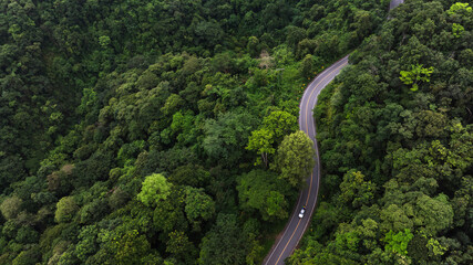 Aerial view of road in the middle of the forest , Top view road curve construction up to mountain, Rainforest ecosystem and healthy environment concept	
