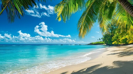 Tropical Beach with Palm Trees and Blue Sky