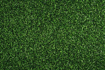 Fototapeta premium Artificial Green grass texture seamless background