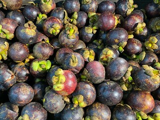 mangosteen on the market