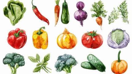 Collection of watercolor fresh herbs and spices on white background