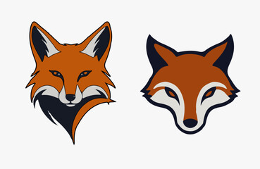 Obraz premium red fox head