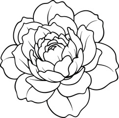 A wonderful floral coloring book for children to enjoy
