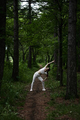 Fototapeta premium Young caucasian woman in white sportswear exercising in green forest park