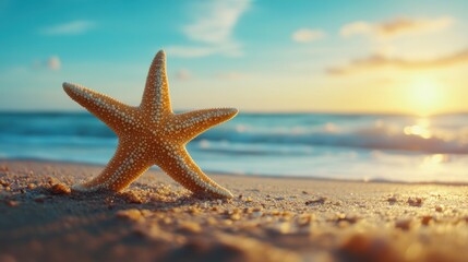 Starfish on the Beach at Sunset