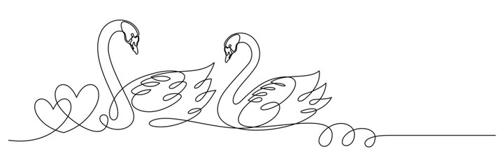 swan and symbol of love 