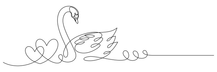 swan and symbol of love 