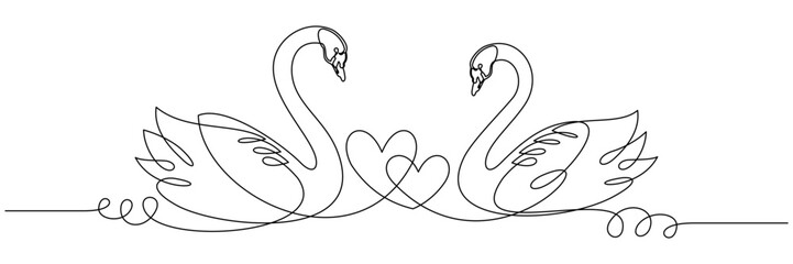 swan and symbol of love 