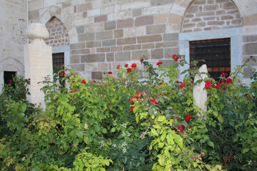 Part of an old  Ottoman gravestones  for a man surrounded by roses