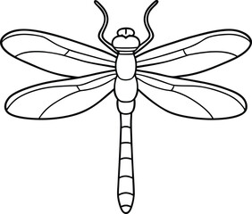 Dragonfly outlines illustration art, smooth line art like a silhouette on white background.