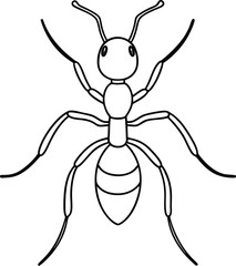 An Ant outline illustration art, smooth line art like silhouette on white background.
