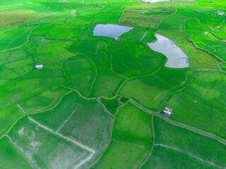 aerial view of paddy fields in a hilly valley