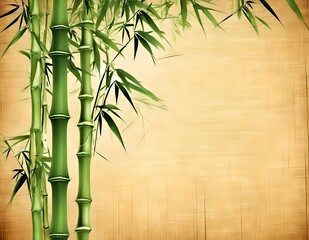 bamboo background with bamboo