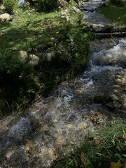 stream in the woods