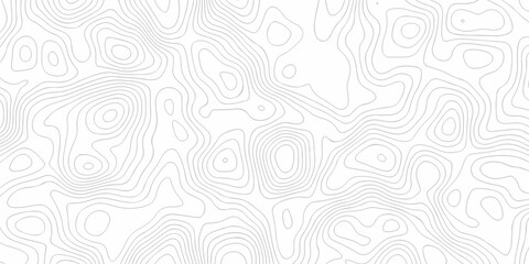 Topography grid contour map on white background, Topographic contour lines map seamless pattern. modern graphic topo diagram black line drawing geometric paper art design.