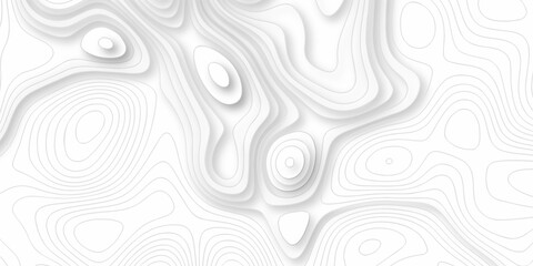 Topography grid contour map on white background, Topographic contour lines map seamless pattern....