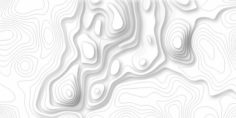 Fototapeta premium Topography grid contour map on white background, Topographic contour lines map seamless pattern. modern graphic topo diagram black line drawing geometric paper art design.