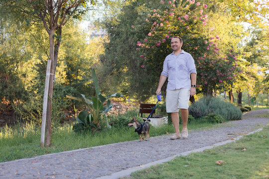 Smiling middle-aged man walks and plays with a small dog in public park