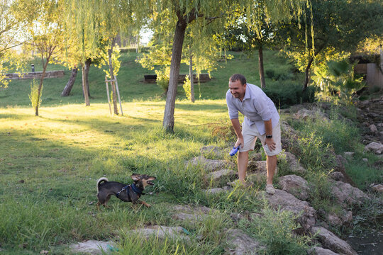 Smiling young woman walks and plays with a small dog in public park,