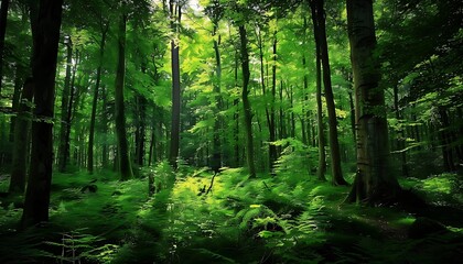 Obraz premium Aesthetic green rainforest wallpaper background