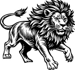 lion illustration vector,lion black and white