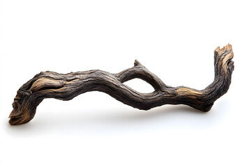 Twisting Ancient Tree Branch Isolated on White Background