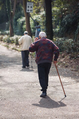 elderly people are walking with hiking sticks, canes walk in spring or summer park. back rear view. Two sporty old pensioner going forward. Family hikers enjoy nordic walk Senior elder couple stroll
