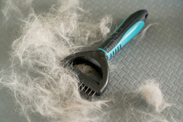 close-up In the grooming salon on  silver table there are professional accessories for caring for...