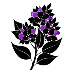 Lilac Black silhouette