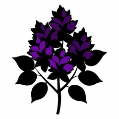 Lilac Black silhouette