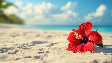 A red flower on a sandy beach with blue sky in the background, AI