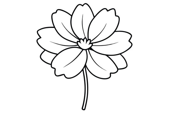 recommend clip art: Cosmos flower line art vector illustration