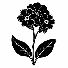 Primrose Black silhouette