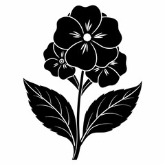 Primrose Black silhouette