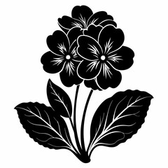 Primrose Black silhouette