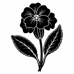 Primrose Black silhouette