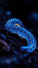 water drops on black