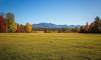 Fototapeta premium Autumn landscape, open field