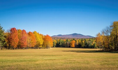 Peaceful fall landscape, open field, colorful trees, distant mountains