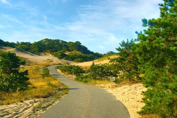 Sunny Summer day landscape of the Province Lands Bike Trail passing through the dunes on Cape Cod, near Provincetown, MA.