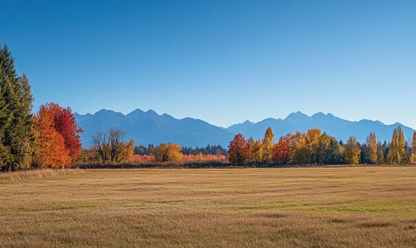 Fall scenery, open field, colorful trees, distant mountains
