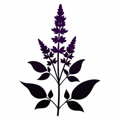 Salvia Black silhouette