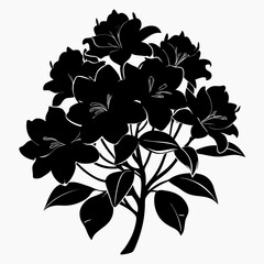 Rhododendron Black silhouette