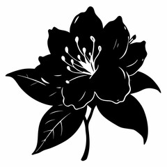 Obraz premium Rhododendron Black silhouette