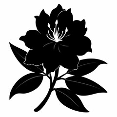 Obraz premium Rhododendron Black silhouette