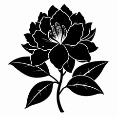 Rhododendron Black silhouette